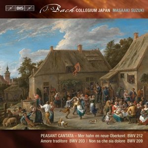Secular Cantatas Vol.7 - J.S. Bach - Musik - BIS - 7318599921914 - September 23, 2016