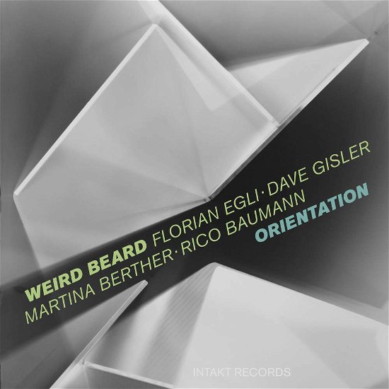 Cover for Weird Beard · Orientation (CD) (2018)