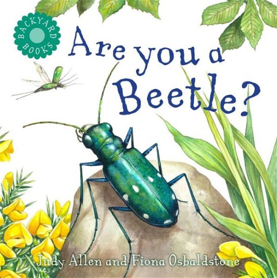 Cover for Judy Allen · Are You a Beetle? - Backyard Books (Paperback Bog) (2019)