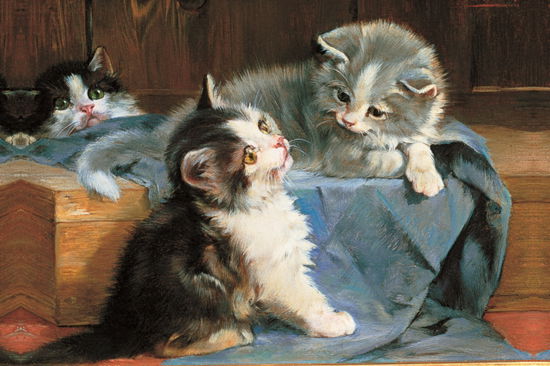 Memo Block: Kittens: High-quality block of notepapers in a presentation cube box with built-in drawer - Peony Press - Bøger - Anness Publishing - 9780754831914 - 10. december 2015