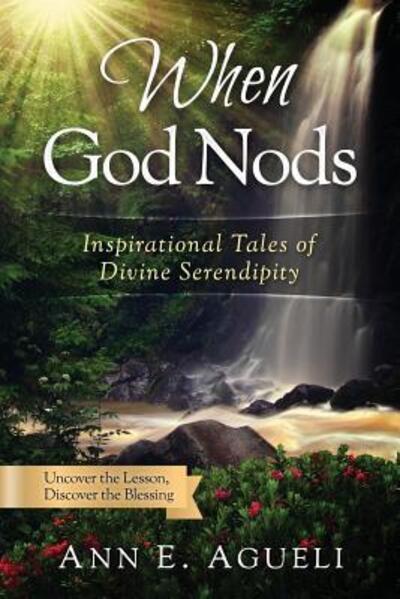 When God Nods - Ann E Agueli - Books - Transcendent Publishing - 9780998286914 - November 23, 2016