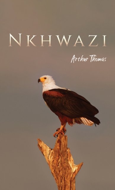 Arthur Thomas · Nkhwazi (Pocketbok) (2024)