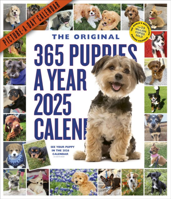 Cover for Workman Calendars · 365 Puppies-A-Year Picture-A-Day® Wall Calendar 2025 (Kalender) (2024)