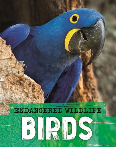 Cover for Anita Ganeri · Endangered Wildlife: Rescuing Birds (Hardcover Book) (2020)