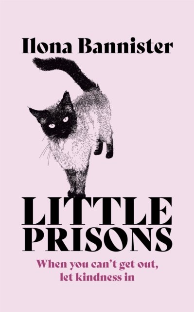 Cover for Ilona Bannister · Little Prisons (Paperback Book) (2022)