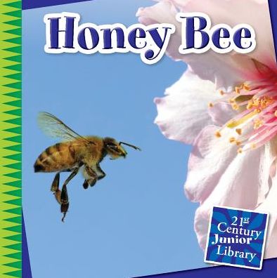 Honey Bee - Katie Marsico - Książki - Cherry Lake Publishing - 9781633625914 - 1 sierpnia 2015