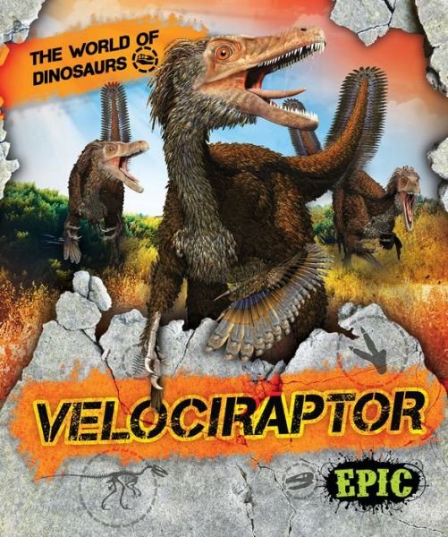 Cover for Rebecca Sabelko · Velociraptor - The World of Dinosaurs (Inbunden Bok) (2019)