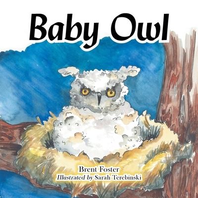 Baby Owl - Brent Foster - Books - AuthorHouse - 9781665529914 - July 6, 2021