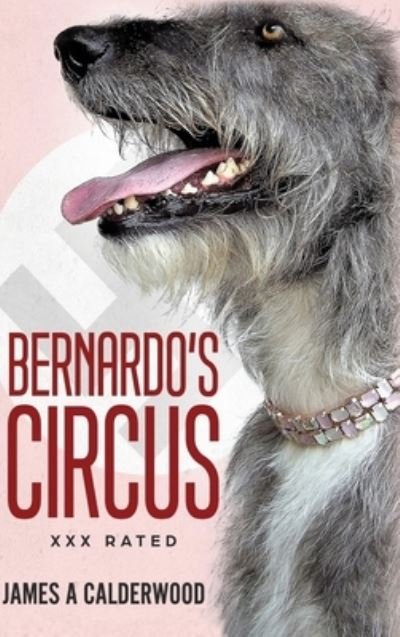 James Calderwood · Bernado's Circus (Hardcover Book) (2021)