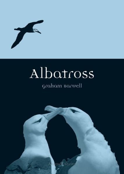Cover for Graham Barwell · Albatross - Animal Series (Paperback Book) (2013)