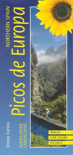 Cover for Teresa Farino · Picos de Europa (Book) (2001)