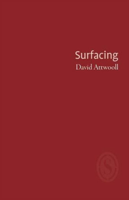 Cover for David Attwooll · Surfacing (Pamphlet) (2013)