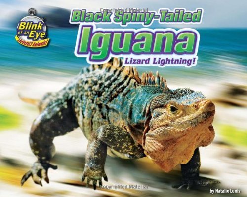 Cover for Natalie Lunis · Black Spiny-tailed Iguana: Lizard Lightning! (Blink of an Eye: Superfast Animals) (Inbunden Bok) (2010)