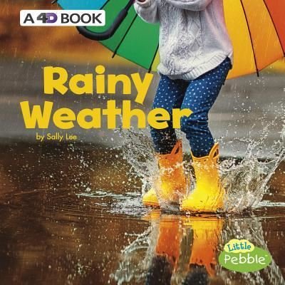 Cover for Sally Lee · Rainy Weather: a 4D Book (All Kinds of Weather) (Taschenbuch) (2018)