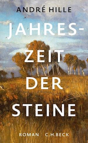 Cover for André Hille · Jahreszeit der Steine (Book) (2023)