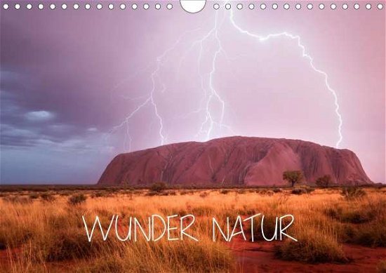 Cover for Schaarschmidt · Wunder Natur II (Wandkale (Book)
