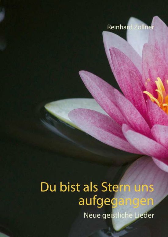 Cover for Zöllner · Du bist als Stern uns aufgegang (Book)