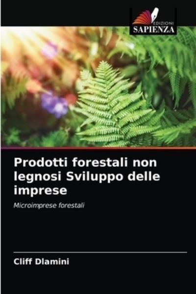 Cover for Dlamini · Prodotti forestali non legnosi (N/A) (2020)