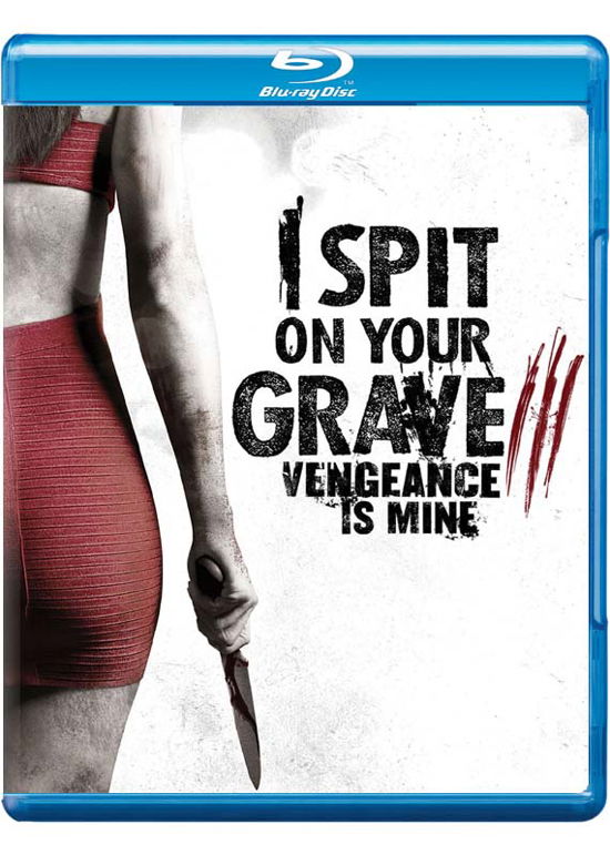 Cover for I Spit on Your Grave 3 (Blu-ray) (2015)