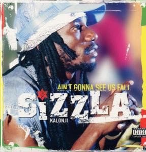 Cover for Sizzla · Ain't Gonna See Us Fall (LP) (2006)