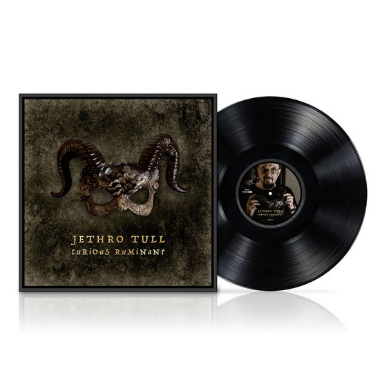 Jethro Tull · Curious Ruminant (LP) (2025)