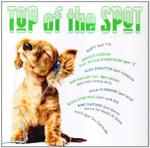 Top of the Spot 2011 - Various Artists - Musikk - Universal - 0600753323915 - 2. februar 2018