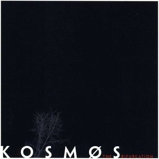 Cover for Kosmos · Bifurcation (CD) (2008)