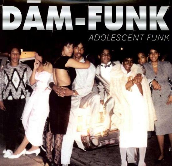 Cover for Dam Funk · Adolescent Funk (LP) (2011)