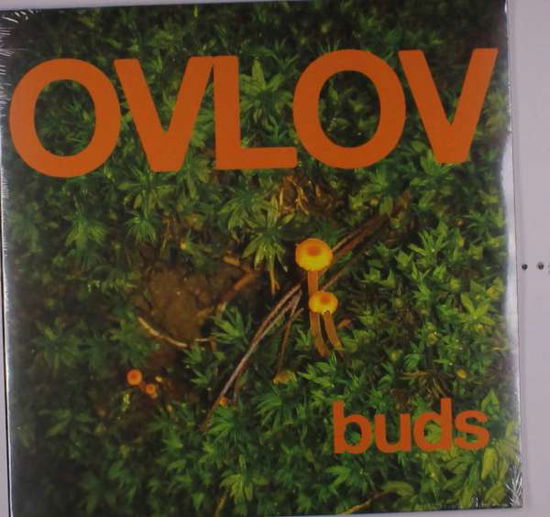 Buds - Ovlov - Music - Exploding In Sound Records - 0843563138915 - December 10, 2021