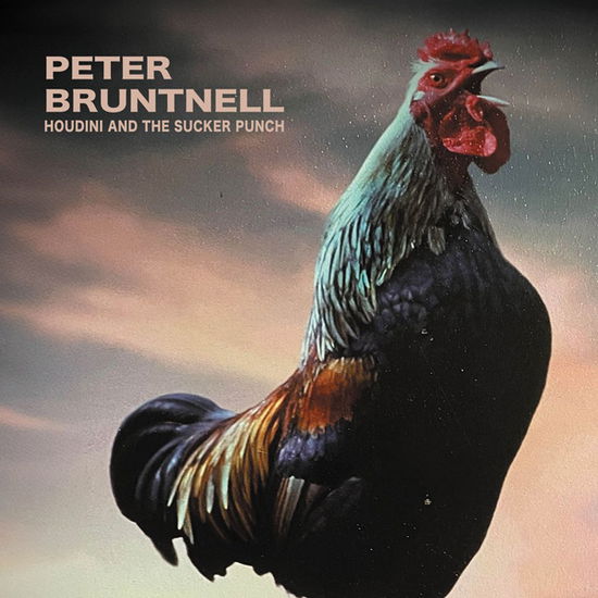 Cover for Peter Bruntnell · Houdini and the Sucker Punch [vinyl] (LP) (2024)