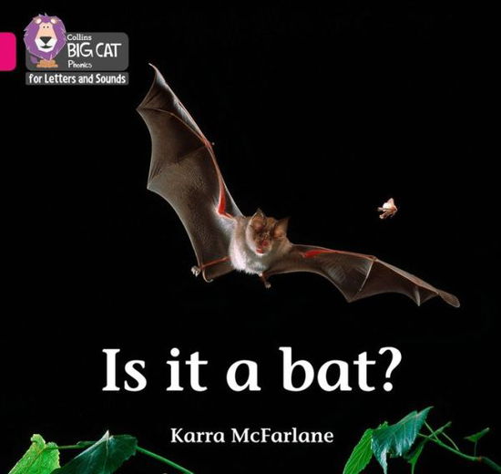 Is it a Bat?: Band 01b/Pink B - Collins Big Cat Phonics for Letters and Sounds - Karra McFarlane - Libros - HarperCollins Publishers - 9780008351915 - 26 de septiembre de 2019