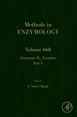 Cover for Neil Marsh · Coenzyme B12 Enzymes Part A (Hardcover Book) (2022)