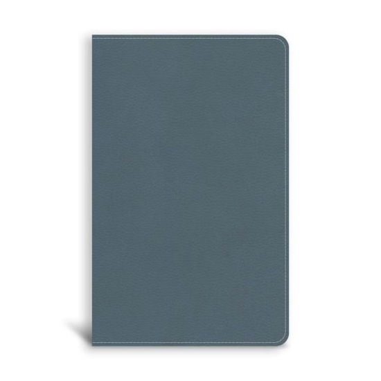 Cover for Csb Bibles By Holman · CSB On-The-Go Bible, Personal Size, Steel Blue LeatherTouch (Leather Book) (2021)