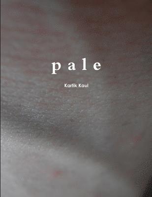 Cover for Kartik Kaul · Pale (Book) (2013)