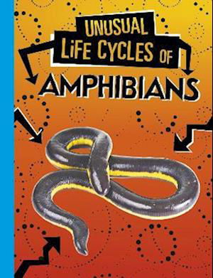 Cover for Jaclyn Jaycox · Unusual Life Cycles of Amphibians - Unusual Life Cycles (Paperback Bog) (2023)