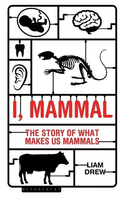 Cover for Liam Drew · I, Mammal: The Story of What Makes Us Mammals (Taschenbuch) (2019)