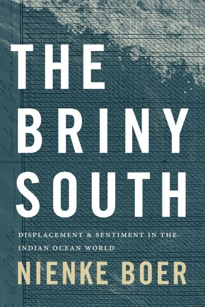 Cover for Nienke Boer · The Briny South: Displacement and Sentiment in the Indian Ocean World - Theory in Forms (Hardcover bog) (2023)