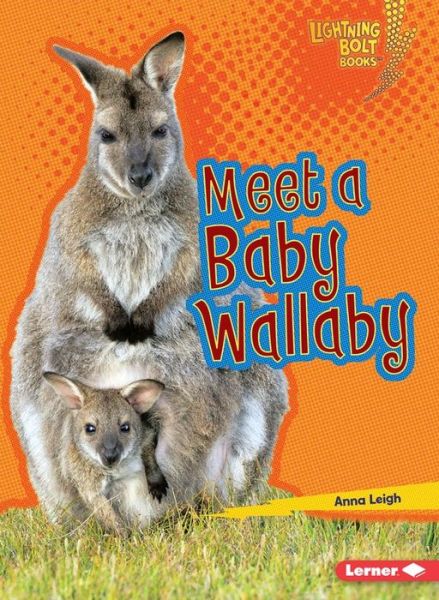 Cover for Anna Leigh · Meet a Baby Wallaby - Lightning Bolt Books — Baby Australian Animals (Paperback Book) (2017)