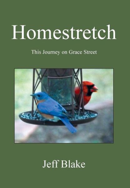 Cover for Jeff Blake · Homestretch (Hardcover Book) (2016)