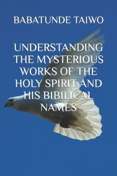 Cover for Babatunde Taiwo · Understanding the Mysterious Works of the Holy Spirit and His Bibilical Names (Paperback Book) (2017)