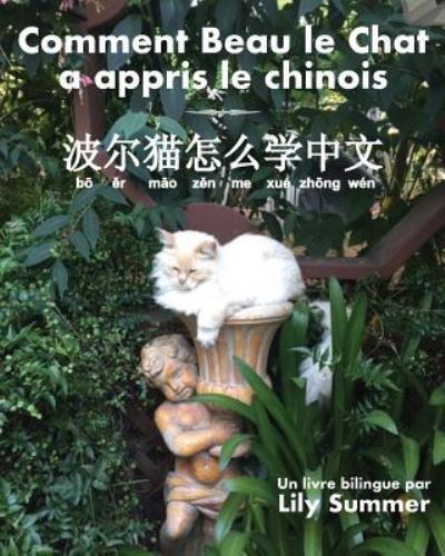 Cover for Lily Summer · Comment Beau le Chat a appris le chinois (Paperback Book) (2017)