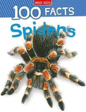 Cover for Camilla De La Bedoyere · 100 Facts Spiders (Taschenbuch) (2021)