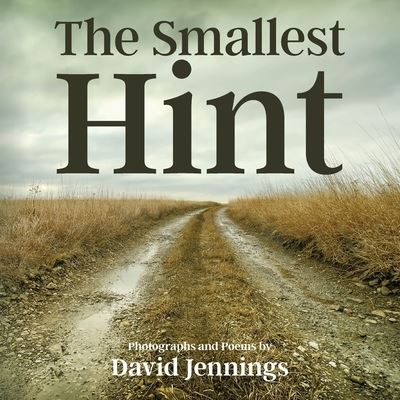 Cover for David Jennings · The Smallest Hint (Pocketbok) (2022)