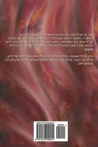 Cover for Zeev Kachel · &amp;#1489; &amp;#1497; &amp;#1514; (Taschenbuch) (2017)