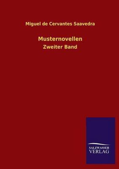 Musternovellen - Miguel De Cervantes Saavedra - Books - Salzwasser-Verlag GmbH - 9783846042915 - July 15, 2013