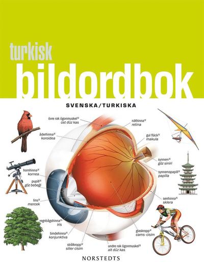 Cover for Mathias Thiel · Turkisk bildordbok : Svenska / Turkiska (Book) (2011)