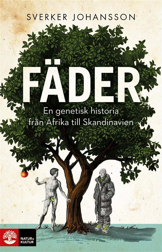 Cover for Sverker Johansson · Fäder : En genetisk historia från Afrika till Skandinavien (Bound Book) (2024)