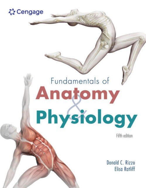 Cover for Rizzo, Donald (Marygrove College) · Fundamentals of Anatomy and Physiology (Paperback Book) (2025)