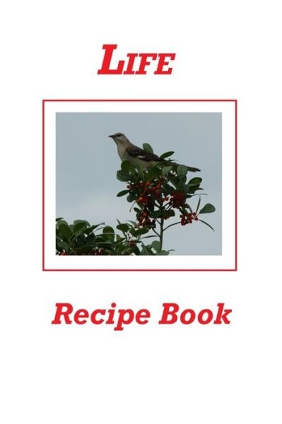 Cover for Karen Rhodes · Life Recipe Book (Pocketbok) (2020)