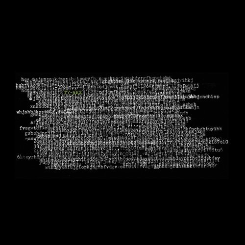 Ty Rex - Ty Segall - Musik - GONER - 0600385260916 - 26 november 2015